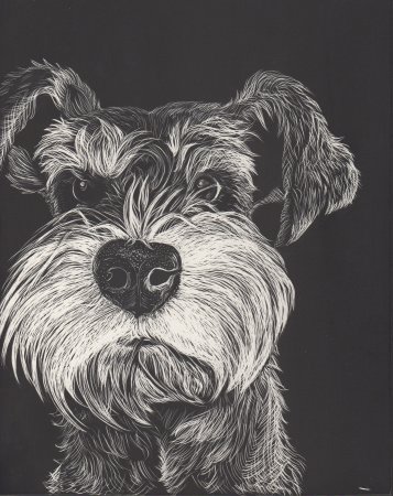 Ризер шнауцер портрет