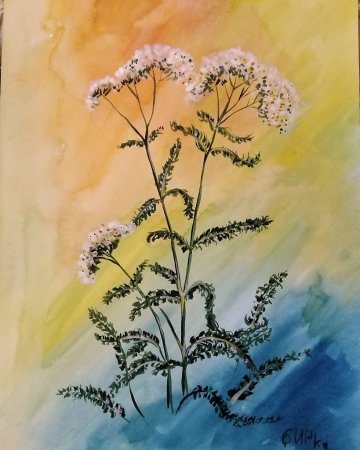 Тысячелистник окружающий мир 2 класс