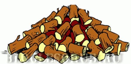 Дрова рисунок для детей