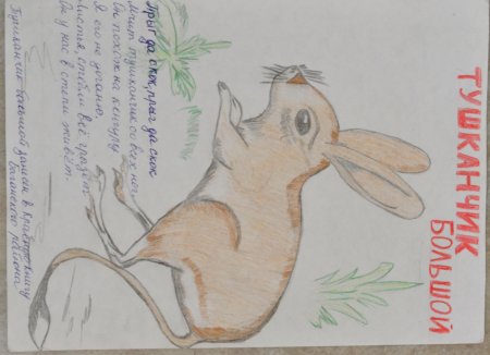 Тушканчик рисунок карандашом