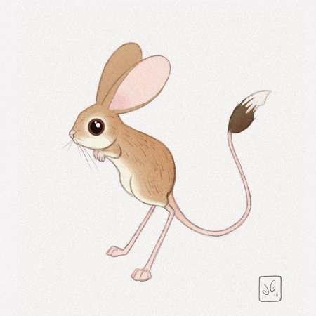 Тушканчик рисунок