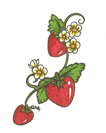 Клубника рисунок для срисовки