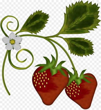 Куст клубники вектор