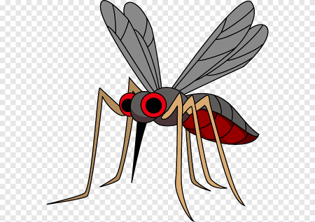 Комарик вектор