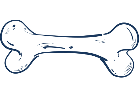 Кости ребенка