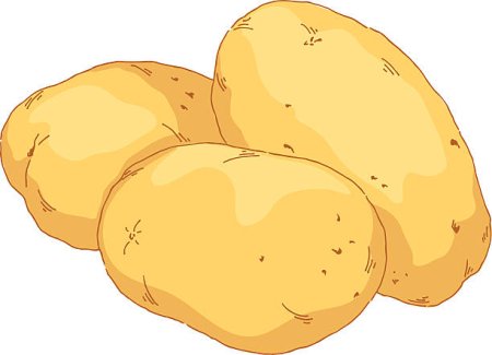 Картофель рисунок