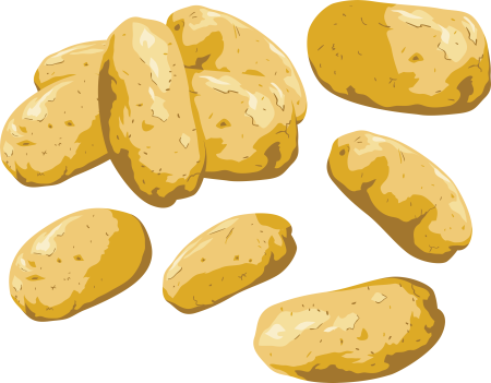 Картошка рисунок