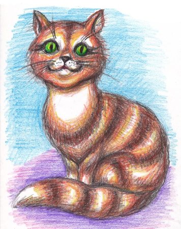 Котик цветными карандашами