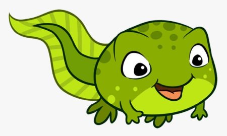 Дети лягушек головастики