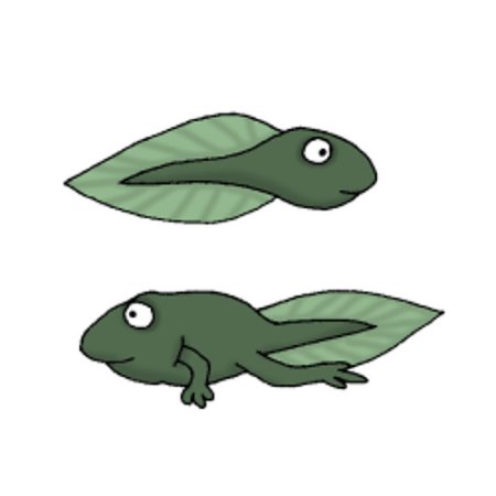 Головастик для детей