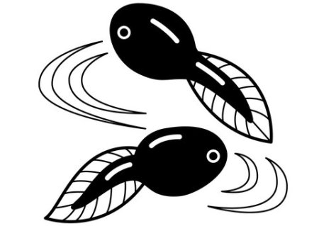 Головастик раскраска