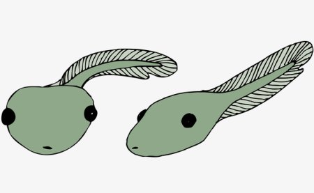 Головастик мультяшный