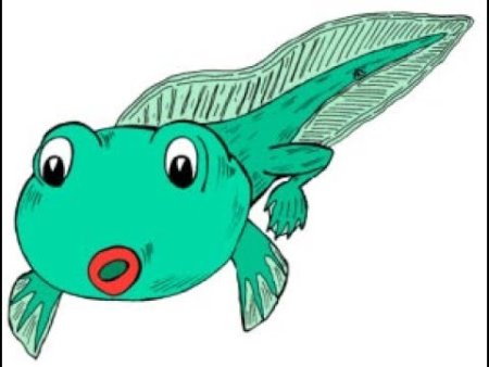 Головастик для детей
