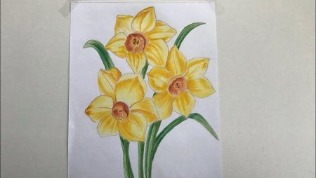 Рисование букет нарциссов
