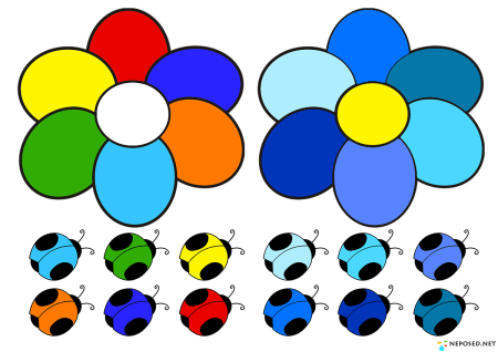 Основные цвета для дошкольников
