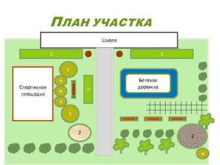 План пришкольного участка школы