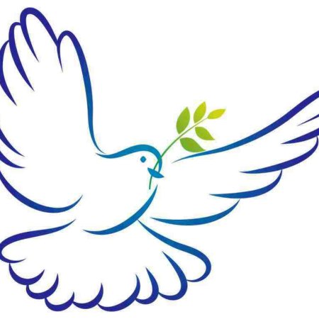 Голубь рисунок