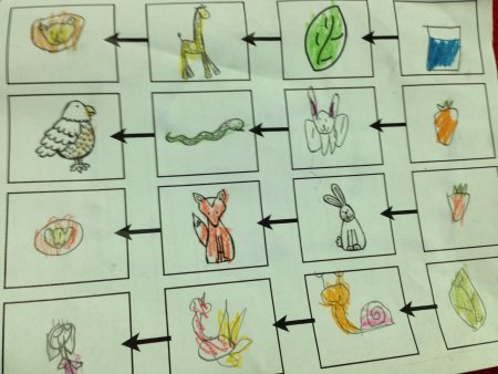 Пищевые Цепочки для дошкольников