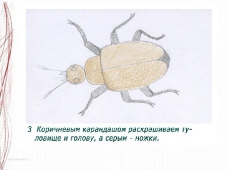 М П Мусоргский вокальный цикл детская