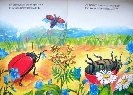 Майский Жук хрущ рисунок