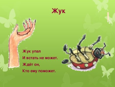 Винтажные открытки с жуками