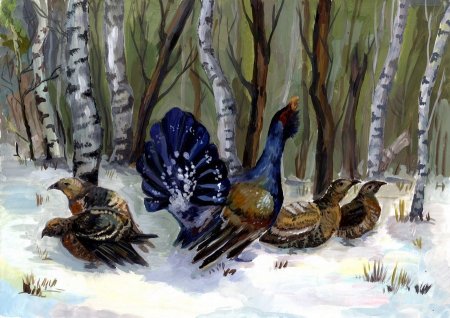 Глухарь акварель