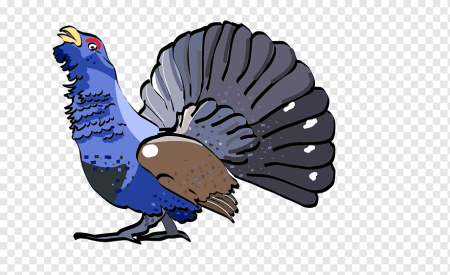 Тетерев для детей