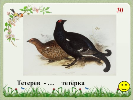 Тетерев для детей с надписью