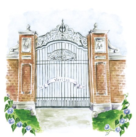 Ворота для рисования