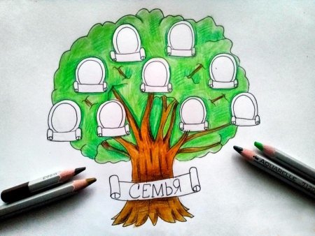 Нарисовать семейное дерево