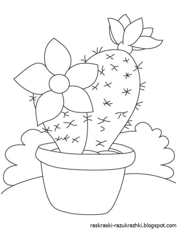 Раскраска комнатные растения для детей