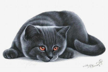 Серый котенок рисунок
