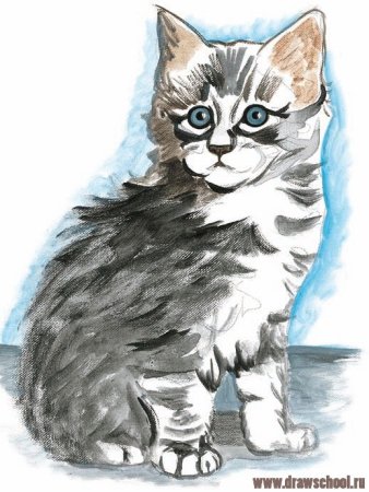 Серый котенок рисунок