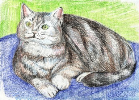 Кошка рисунок цветной