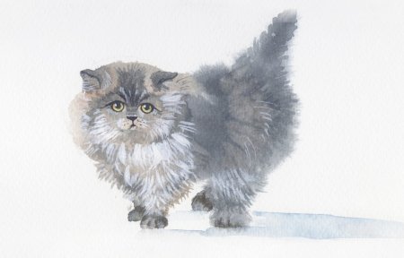 Кот акварелью