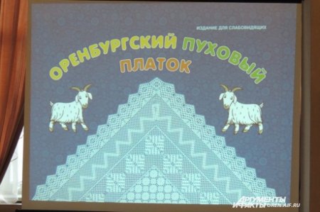 Лэпбук пуховый платок