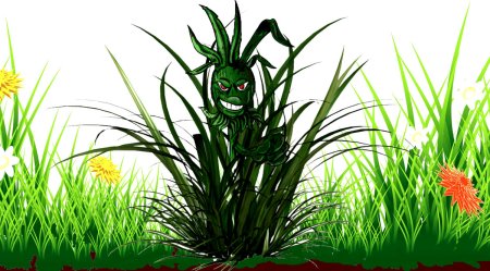 Осот и Осока