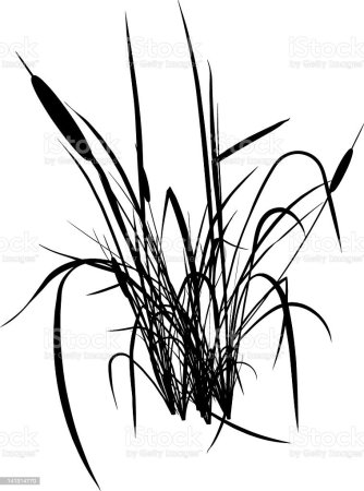 Камыши силуэт черный