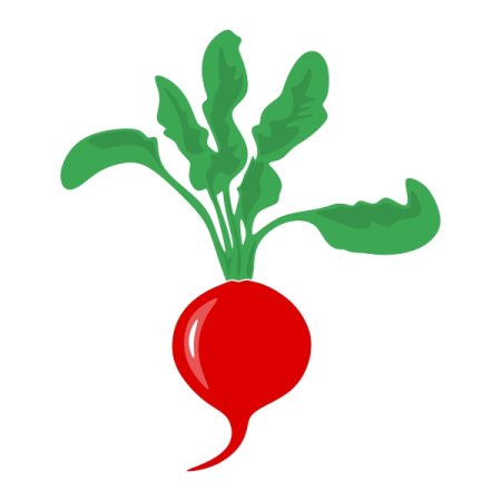 Редис для детей