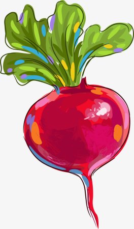 Редиска для детей