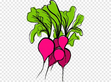 Мультяшные овощи редиска