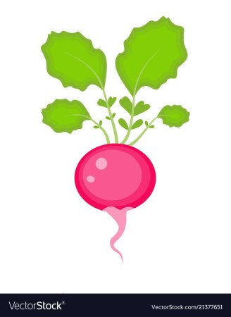 Редис вектор