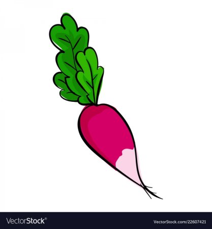 Аппликация редиска для детей