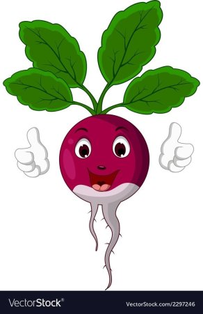 Веселая редиска