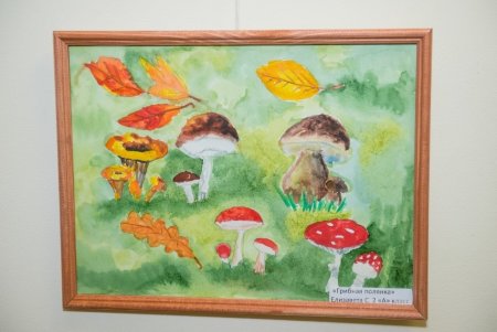 Рисование грибная Поляна