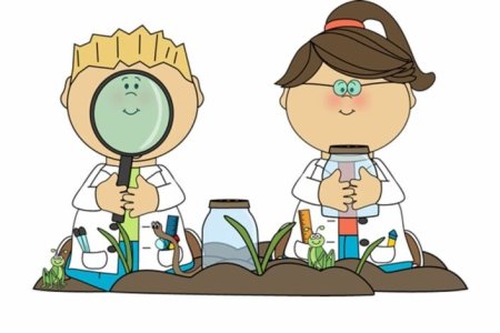 Юный исследователь