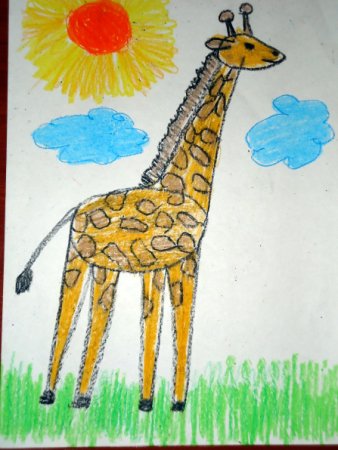 Рисование Жираф средняя группа