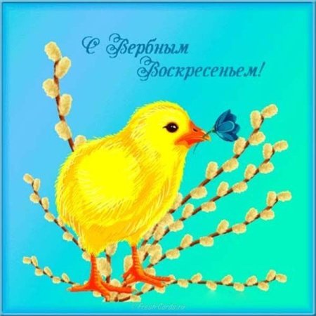 С Вербным воскресеньем открытки