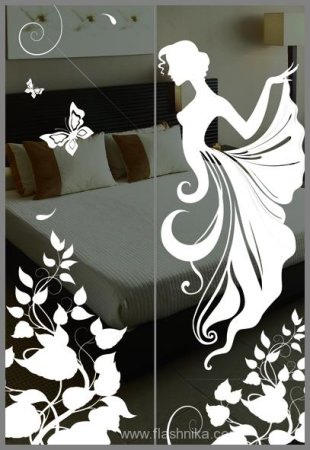 Двери купе с рисунком силует