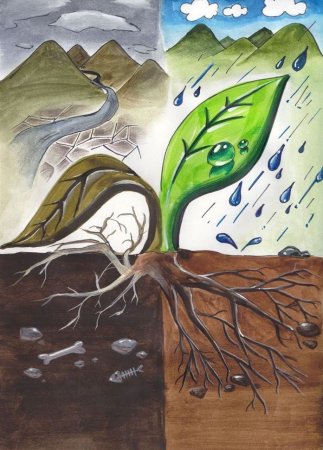 Экология рисунок